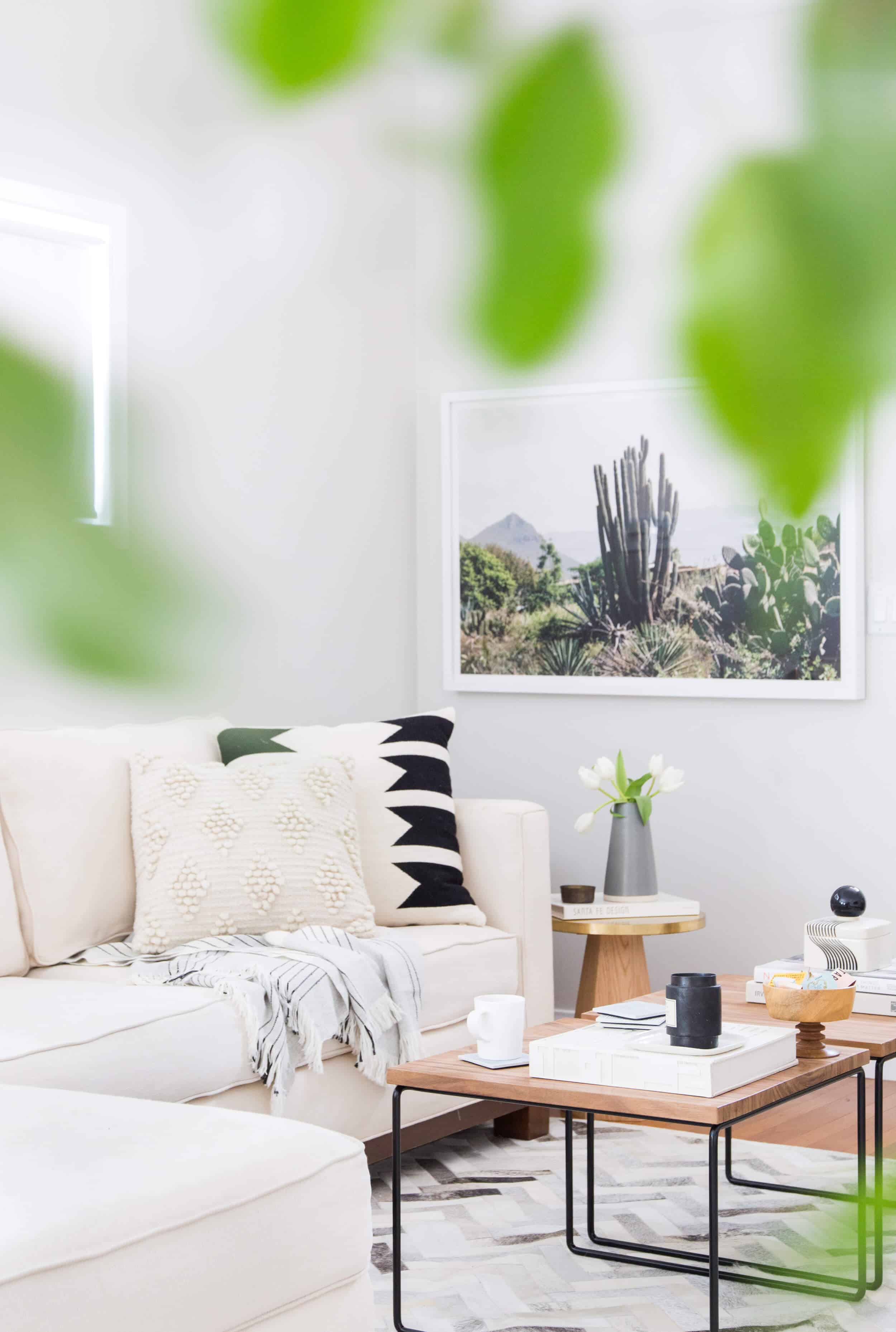 Emily Henderson Citizenry Photo Artwork Tessa Living Room Boho 15