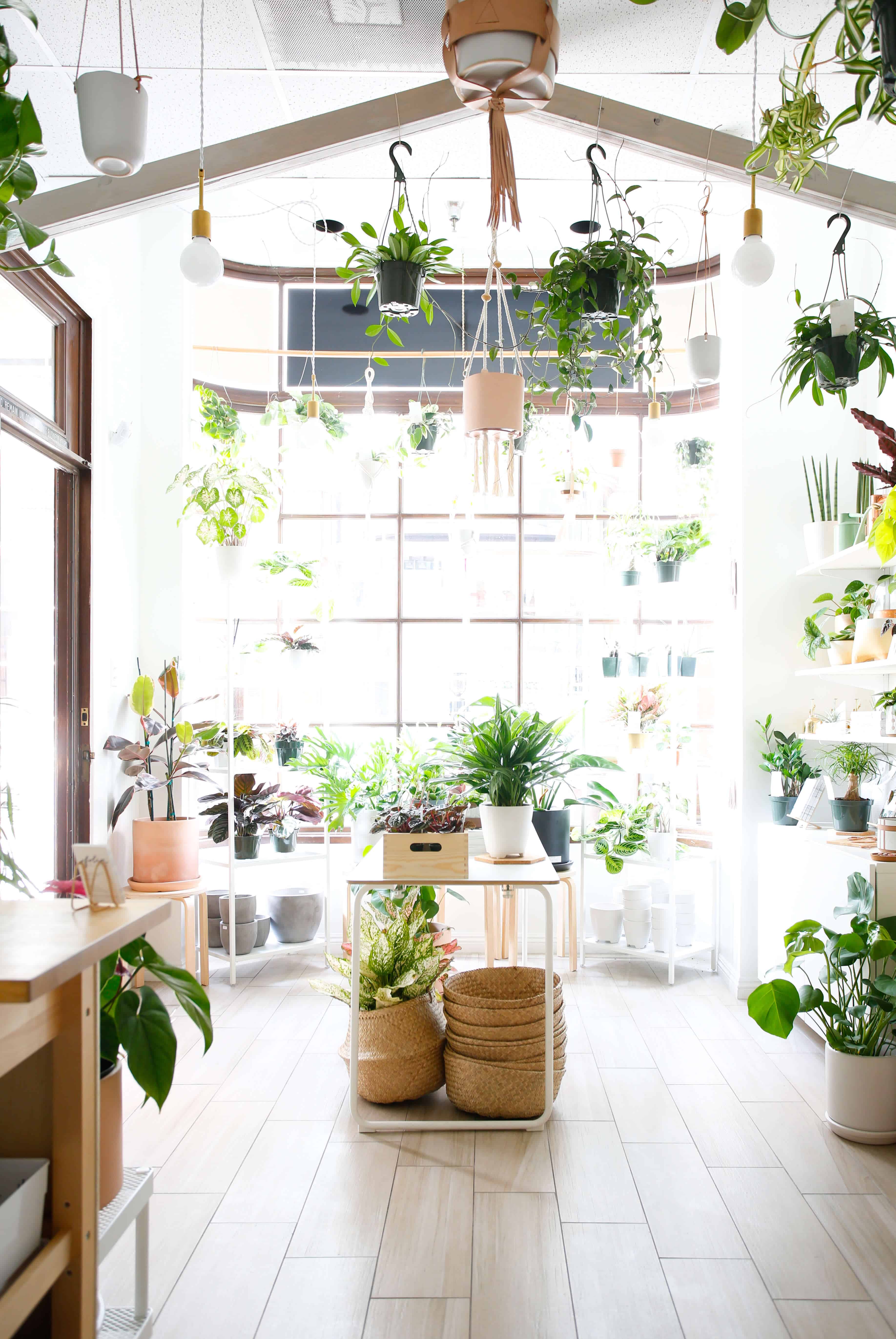 Foliashop
