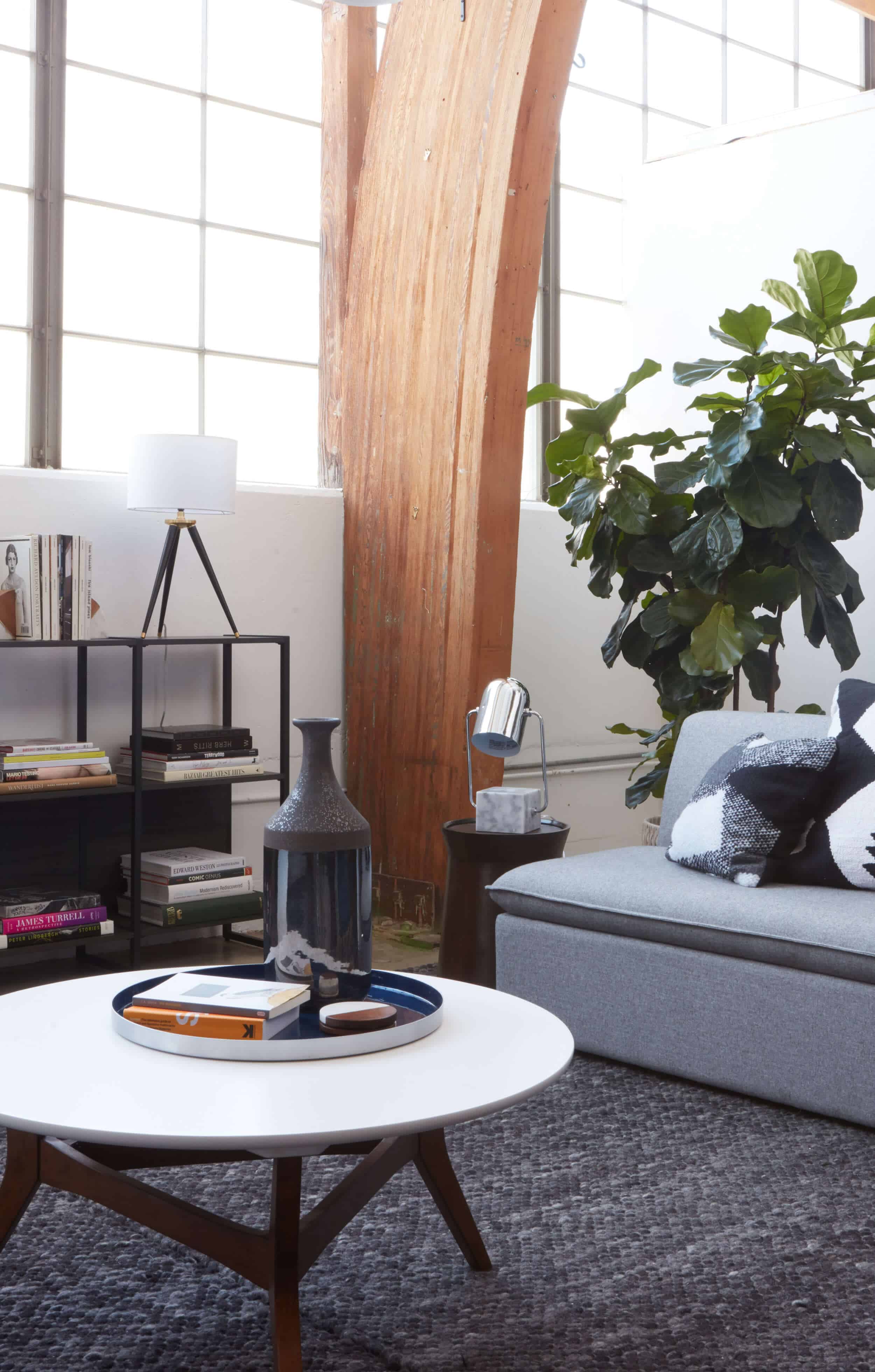 Emily Henderson Target Loft Masculine Neutral Project 62 121