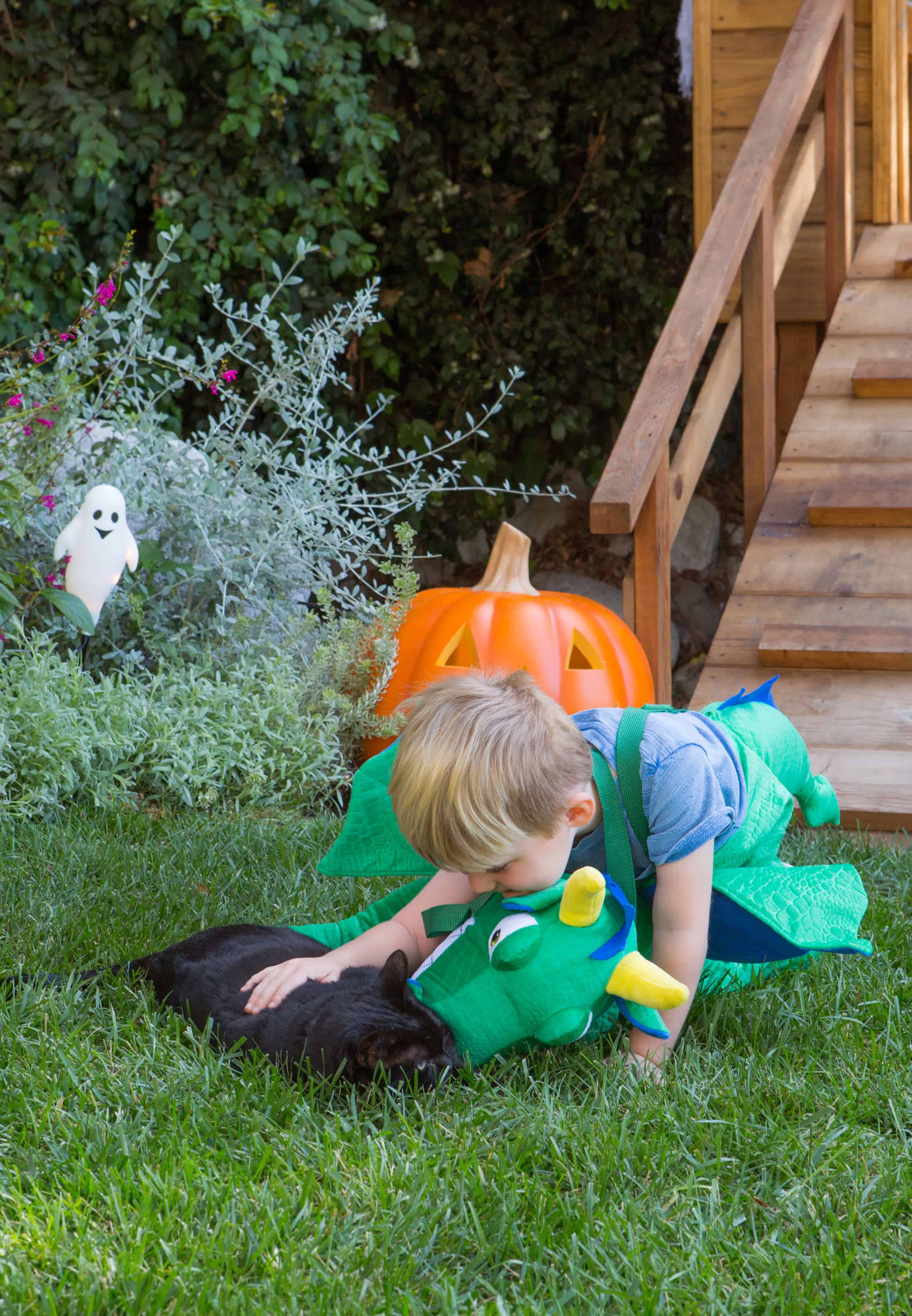 Emily Henderson Target Halloween 201730