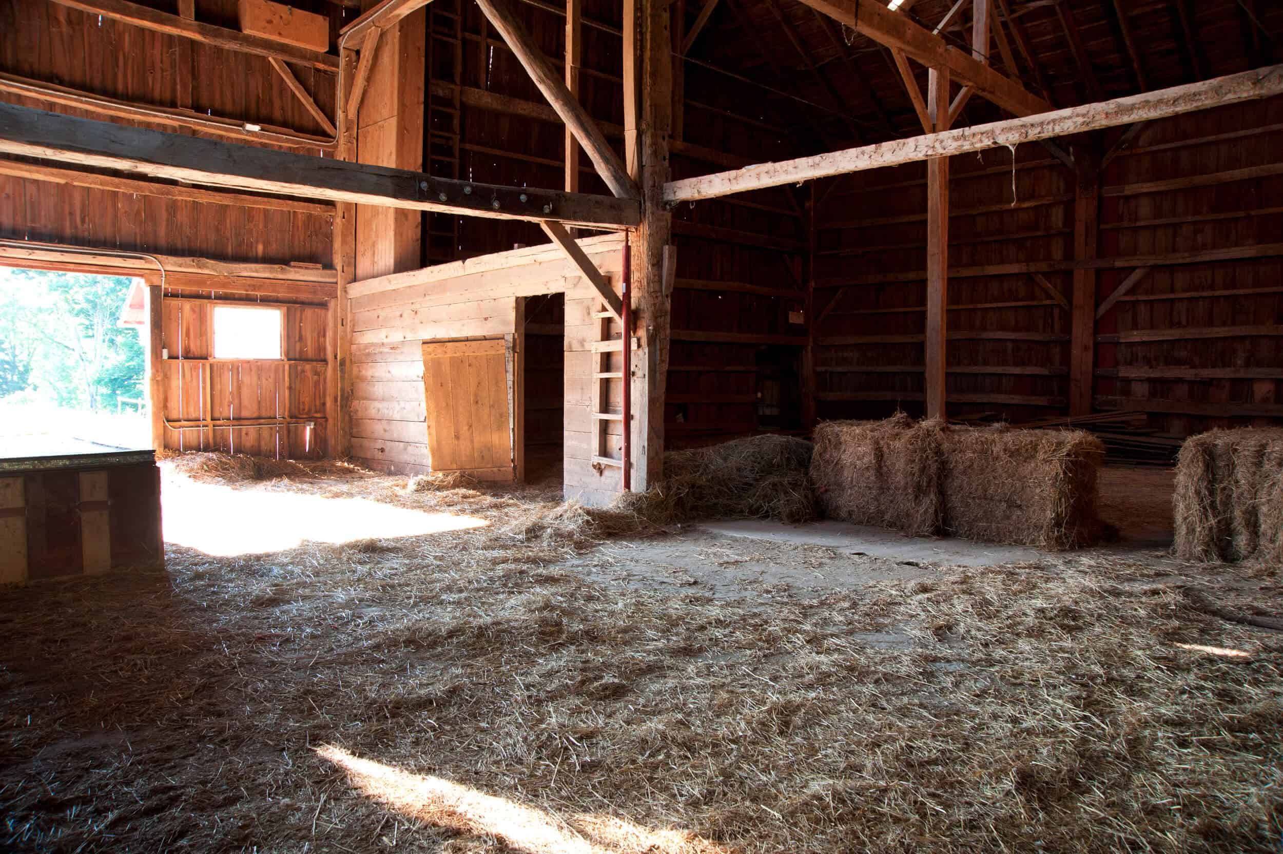 Henderson Samsung The Frame Louise Roe The Barn 29