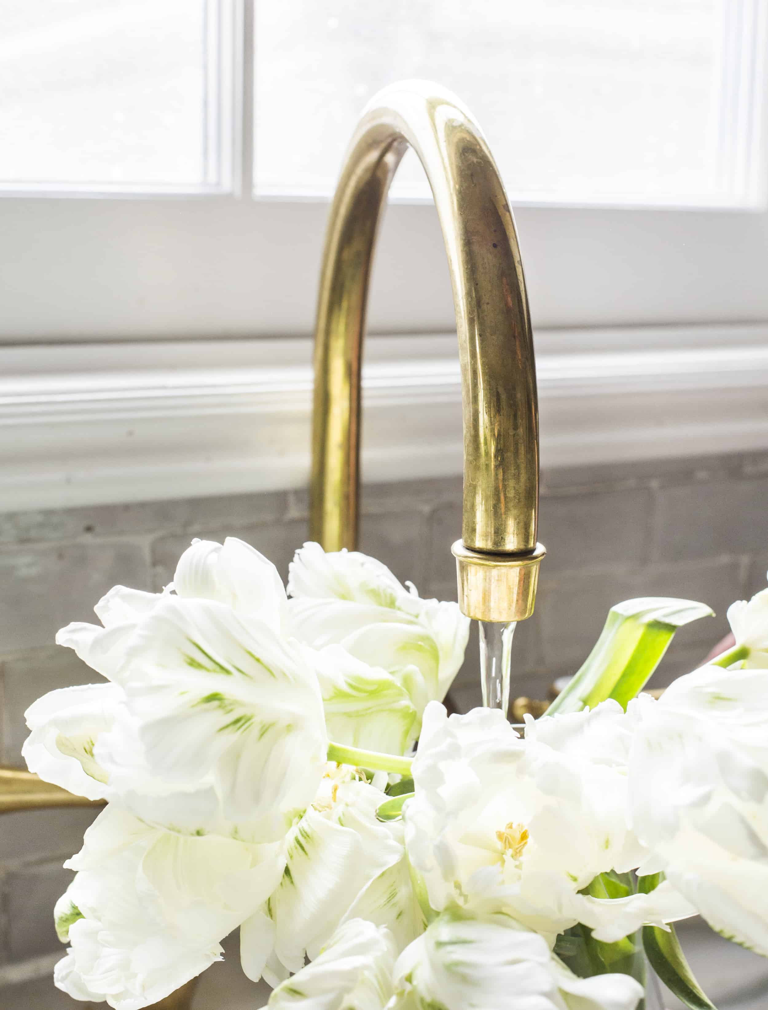 Emily Henderson Culligan Water Softner Benefits 16