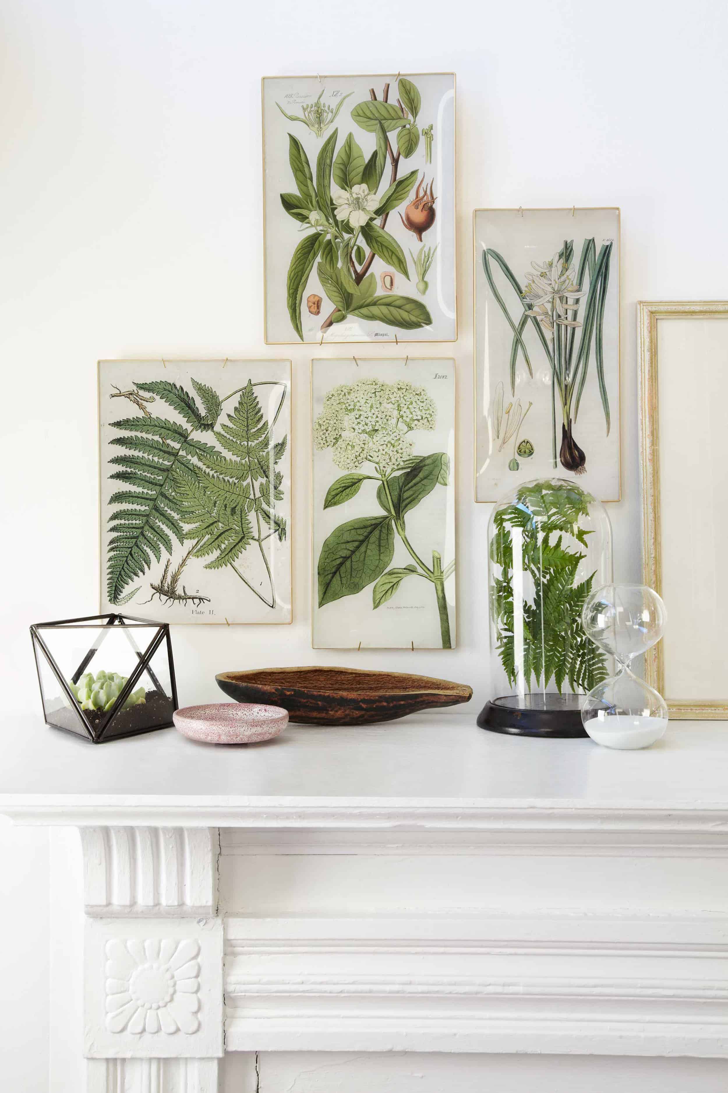 Modern Victorian botanical art pressed flowers fireplace mantle