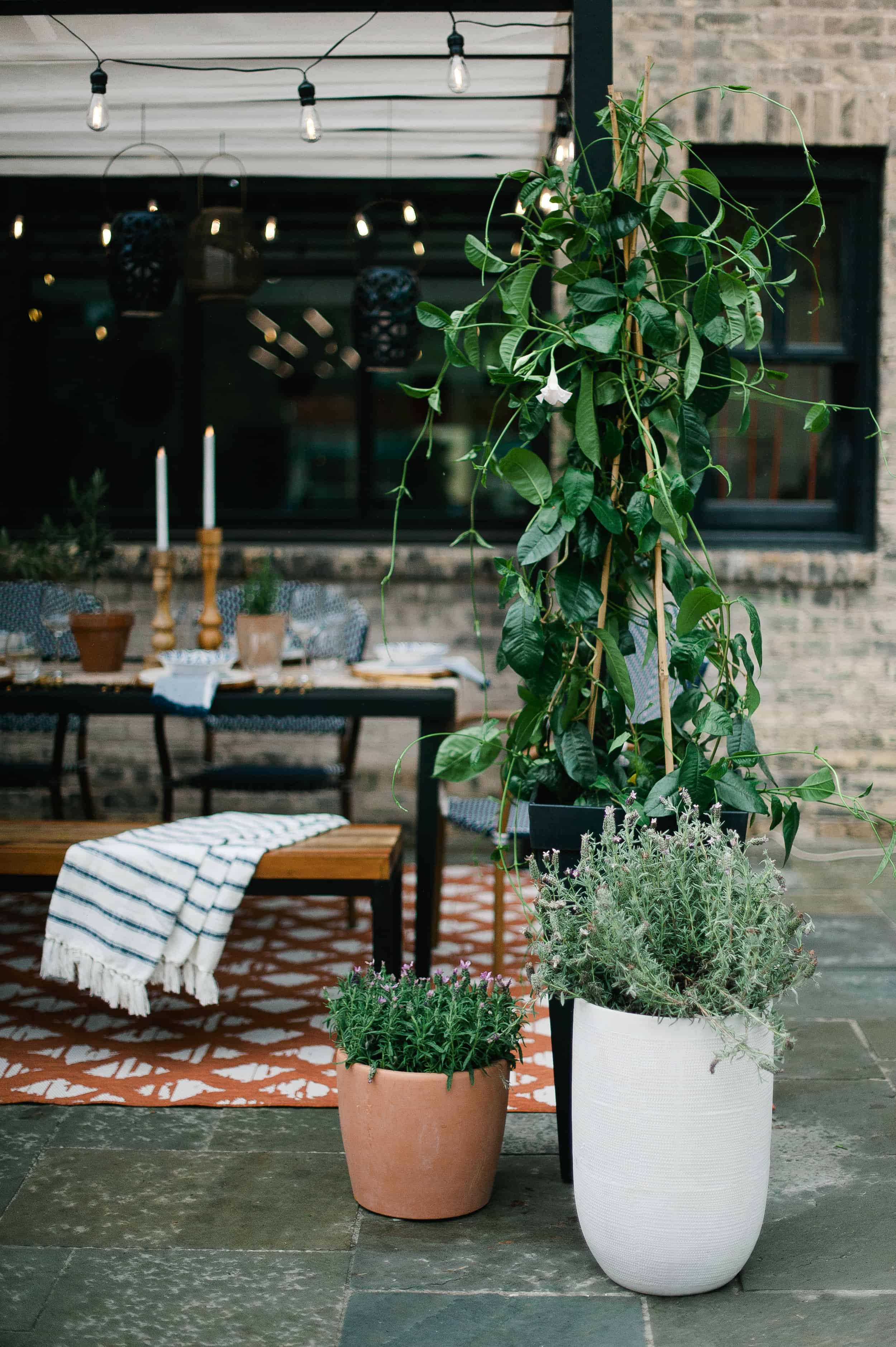 Emily Henderson Target Outdoor Collections Summer Patio Pic 75