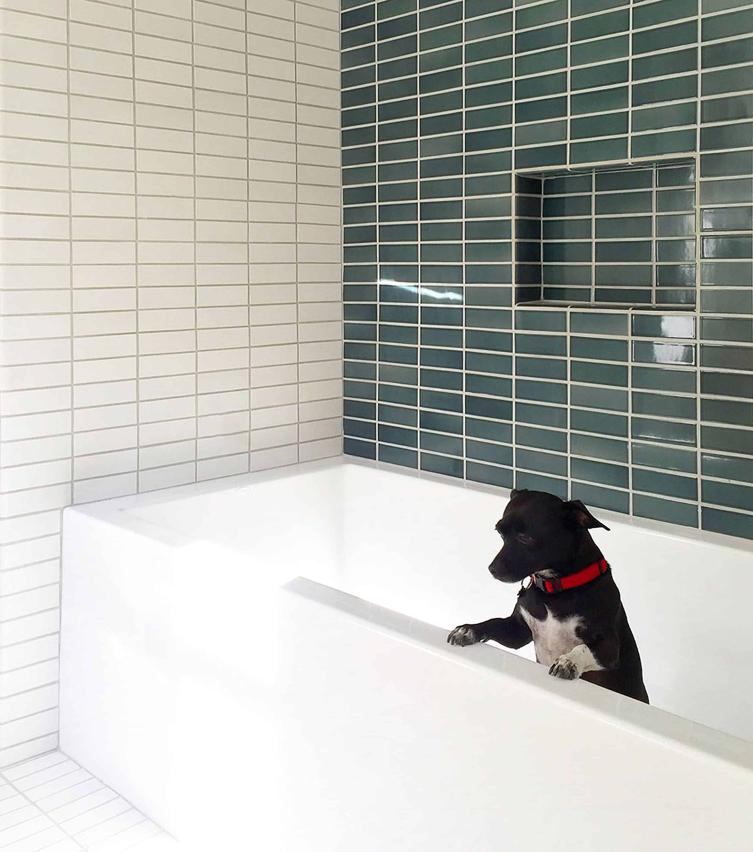Blue & White Bathroom Subway Tile