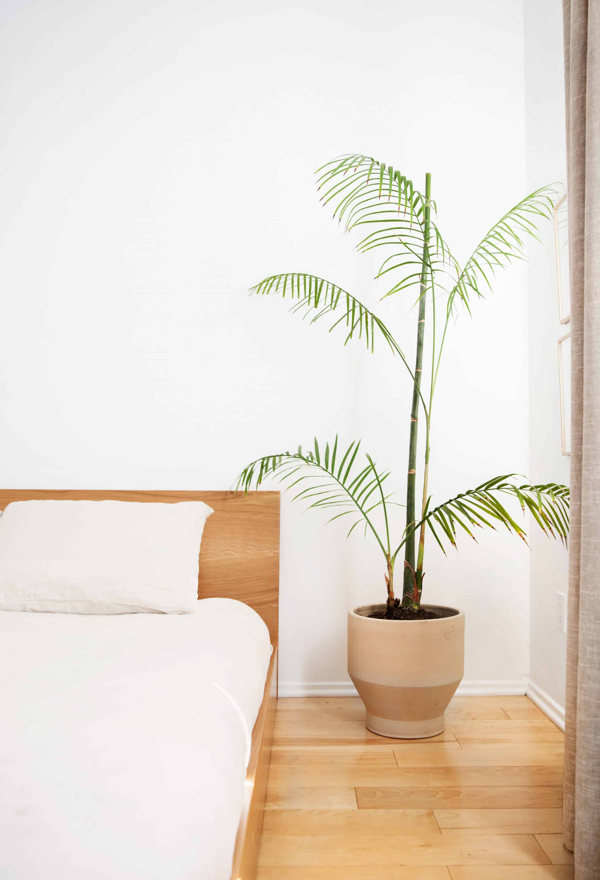 Melanie Burstin Bedroom 4