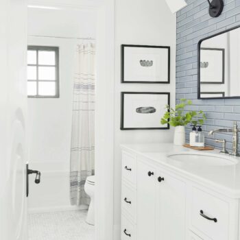 Emily Henderson Portland Traditional Downstairs Guest Bathroom2