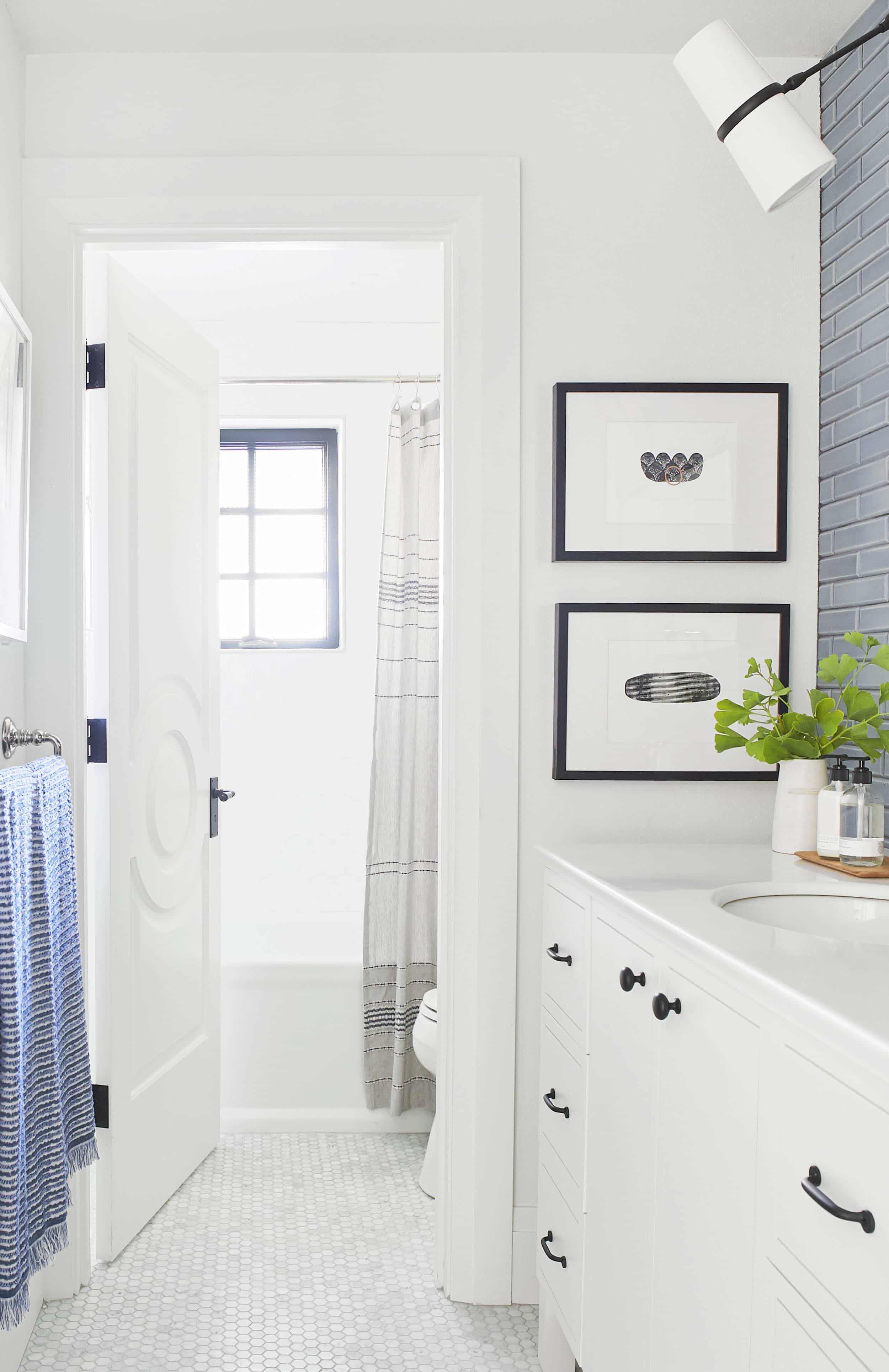 Emily Henderson bathroom remodel ideas