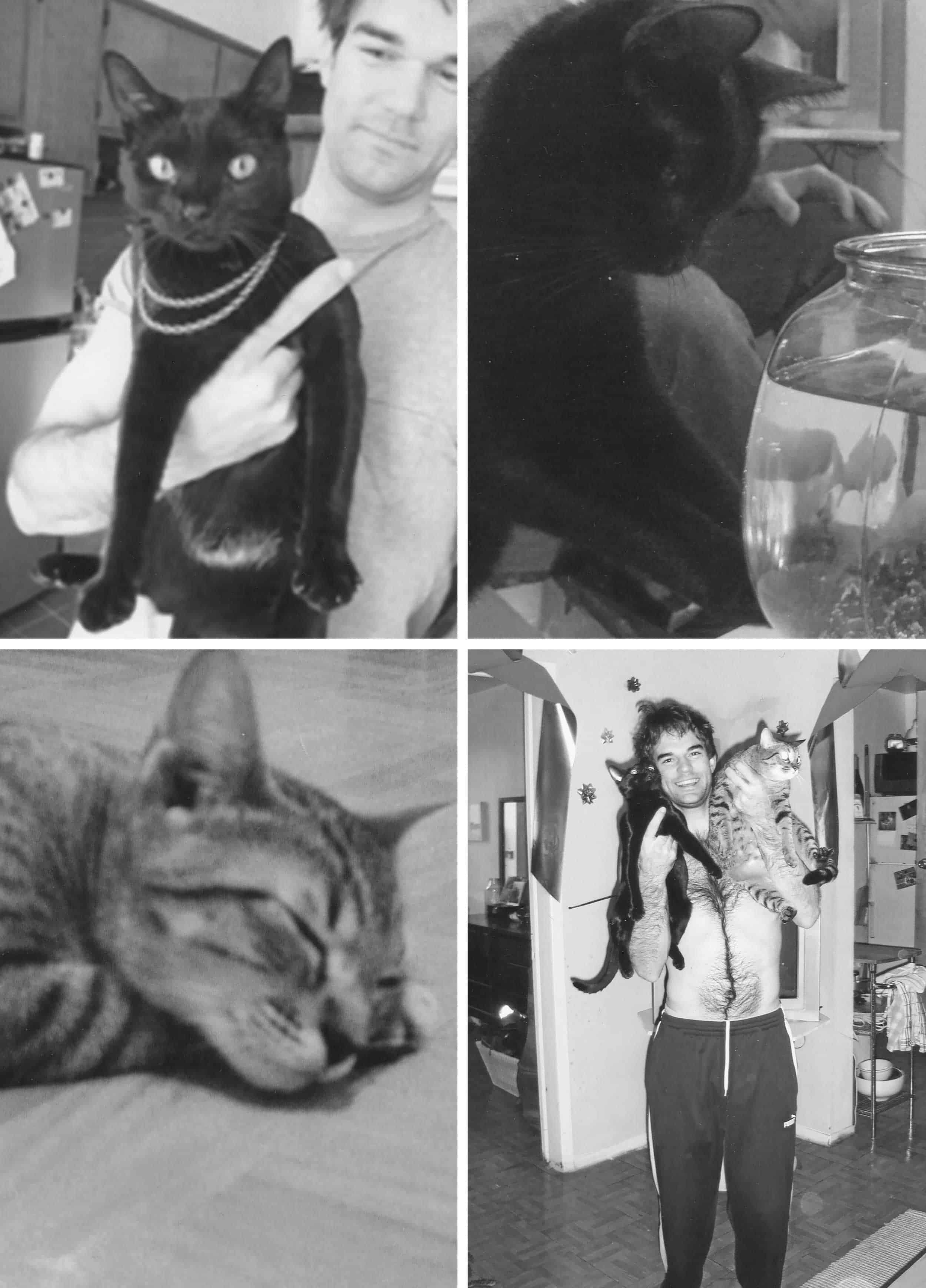 what to say when a pet dies