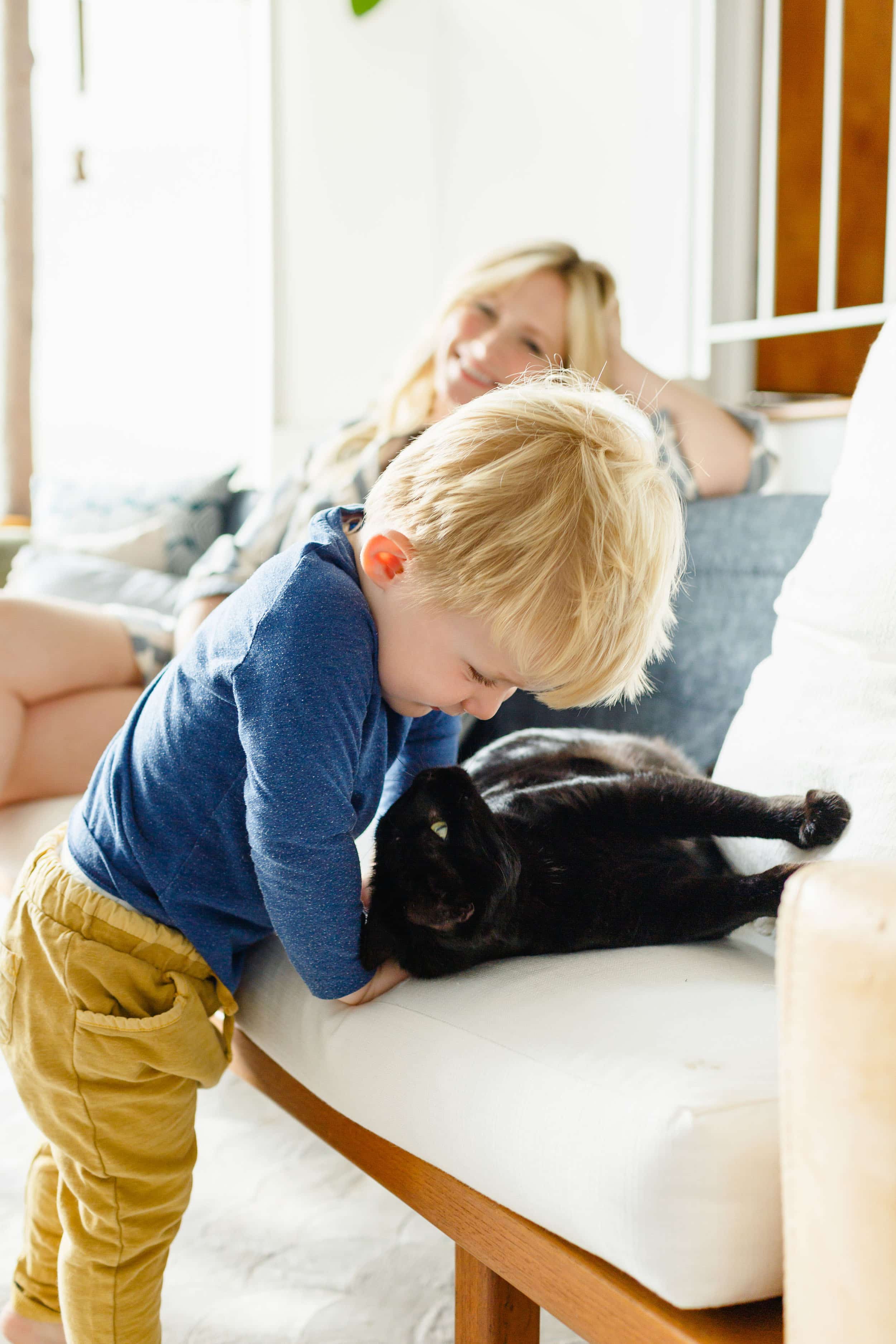 what to say when a pet dies