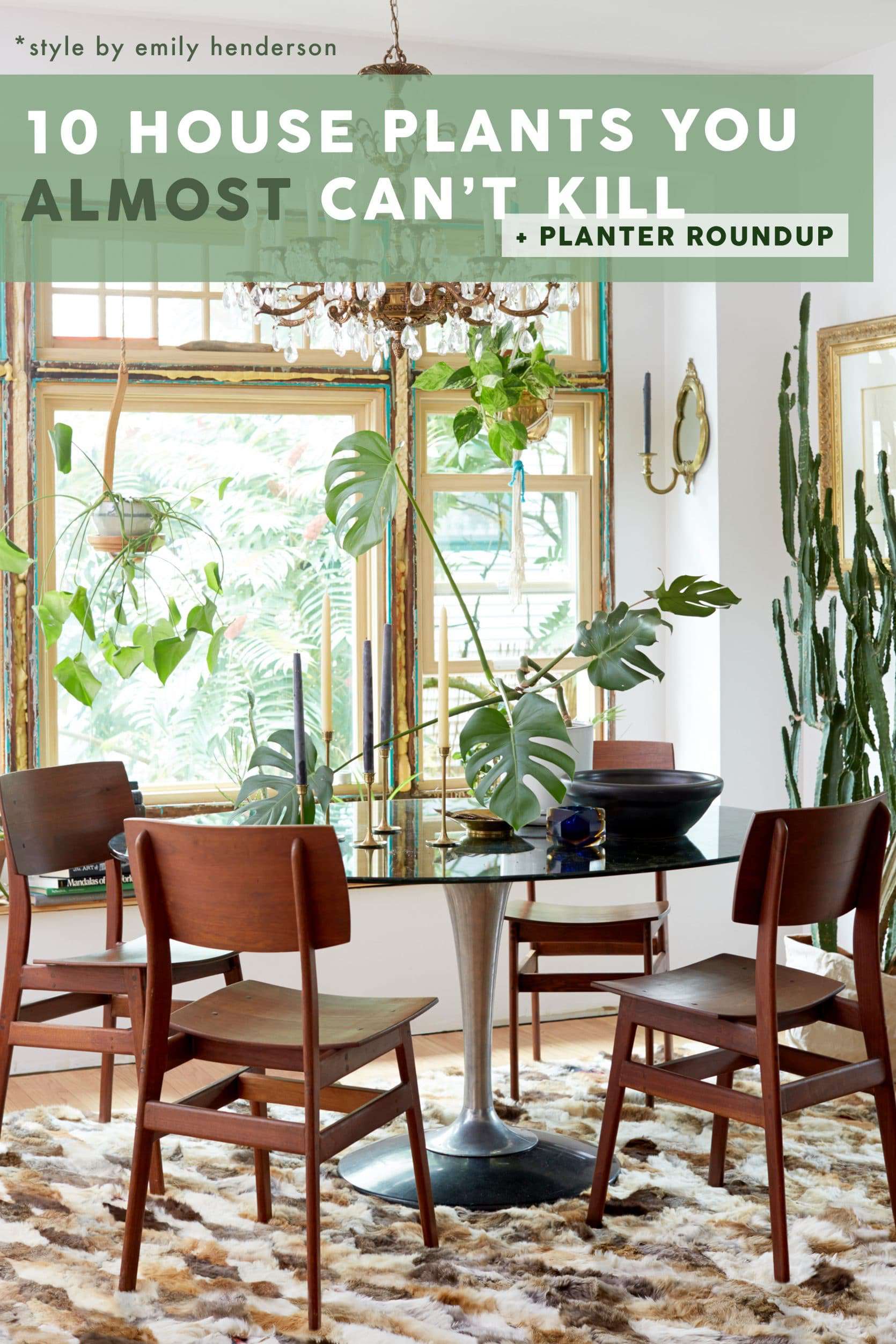 Emily Henderson Plants 10 Cant Kill House Plants 2500 Pinterest