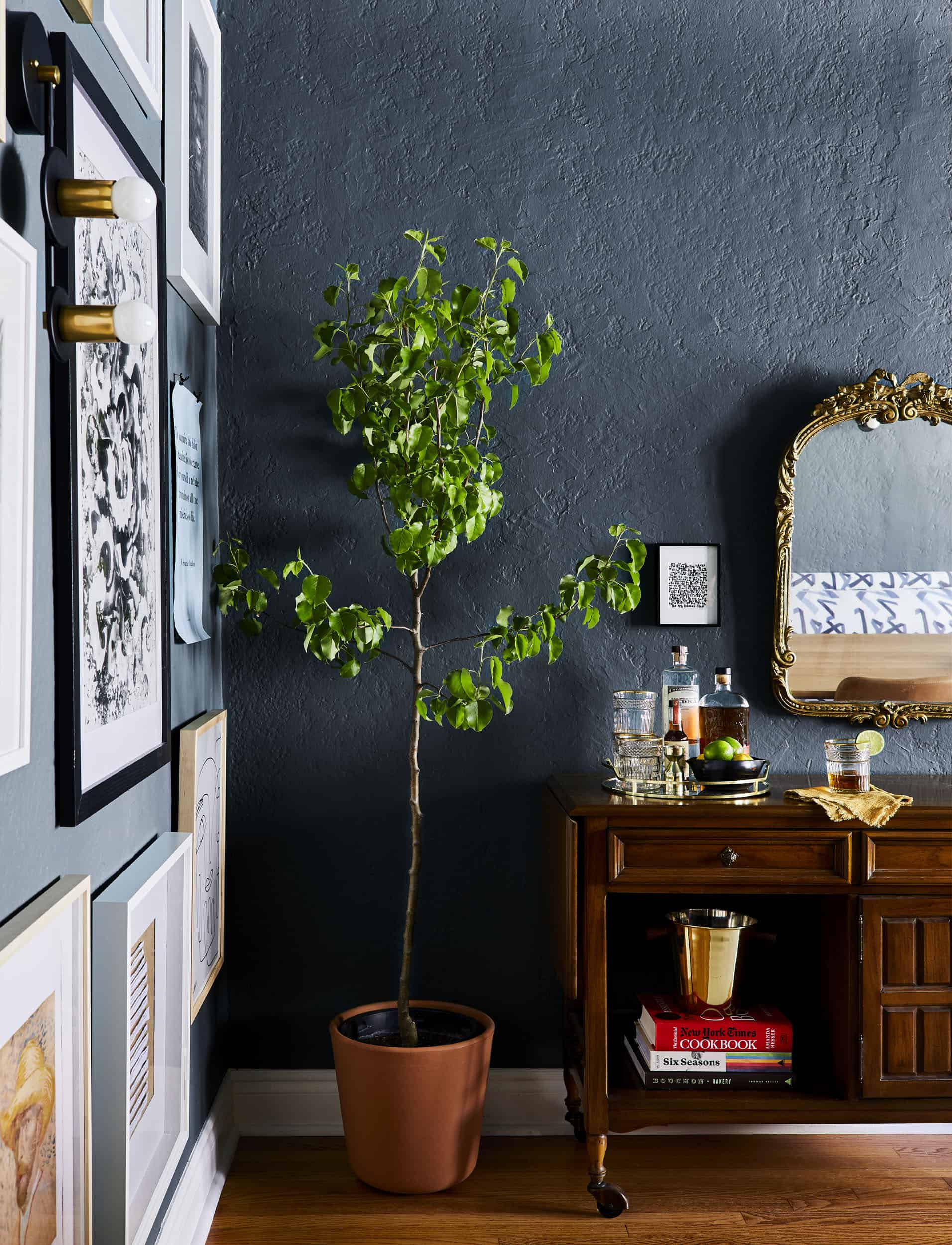 Emily Henderson dining room ideas16