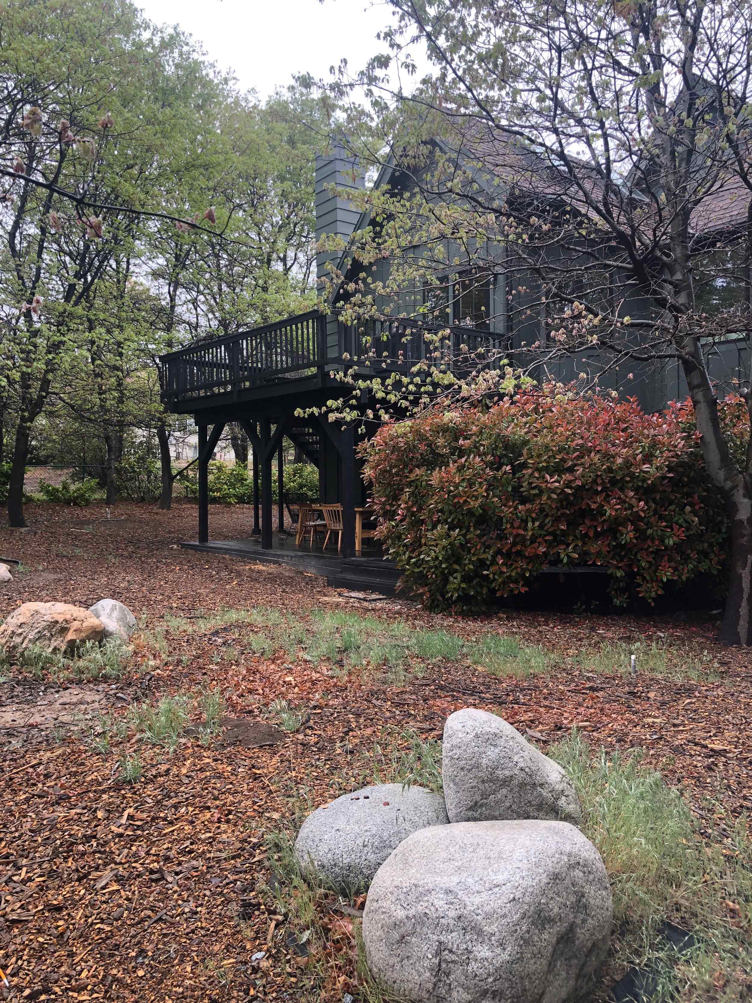 Emily Henderson Backyard 11