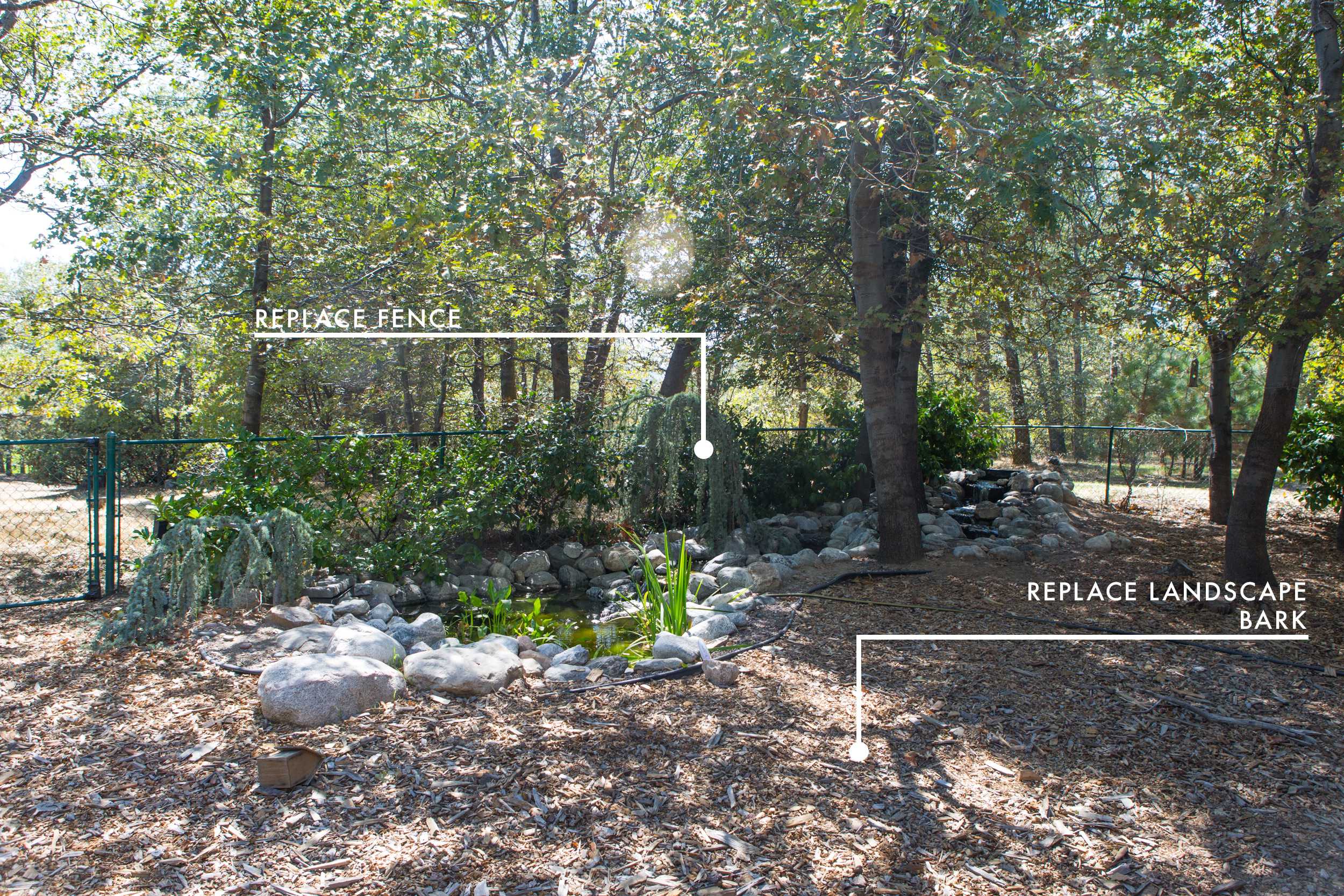 Emily Henderson Lake House Before Back Yard 2 1 New 2