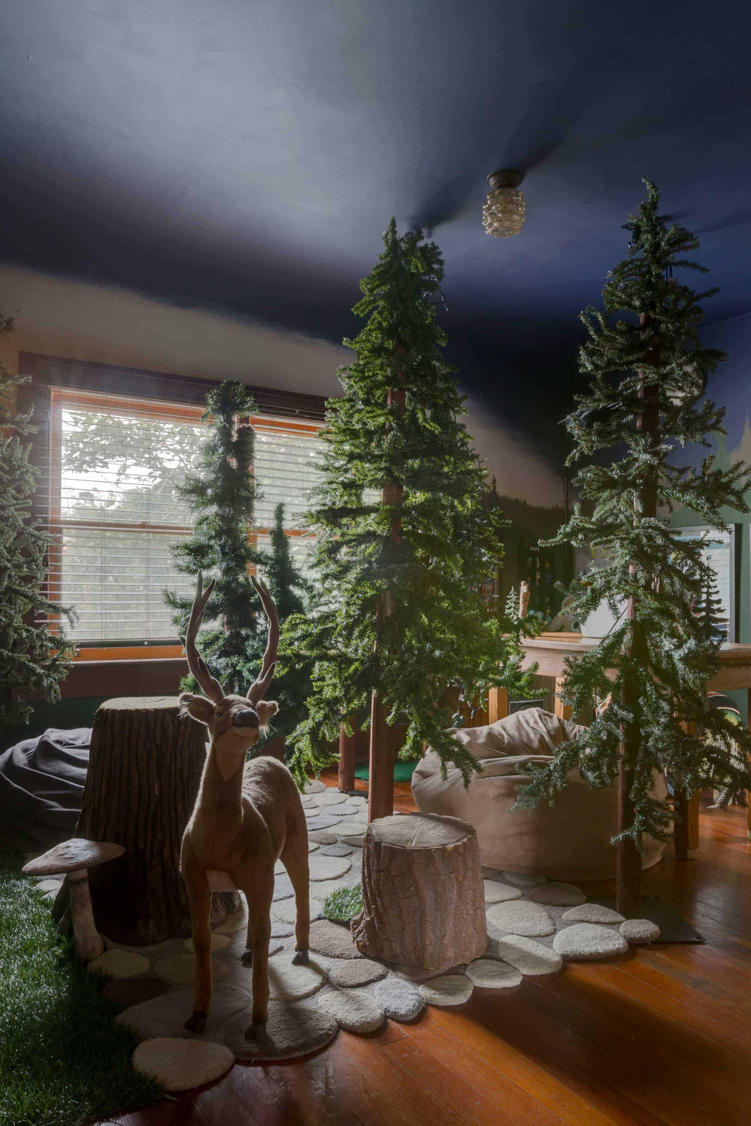Forest Inspo