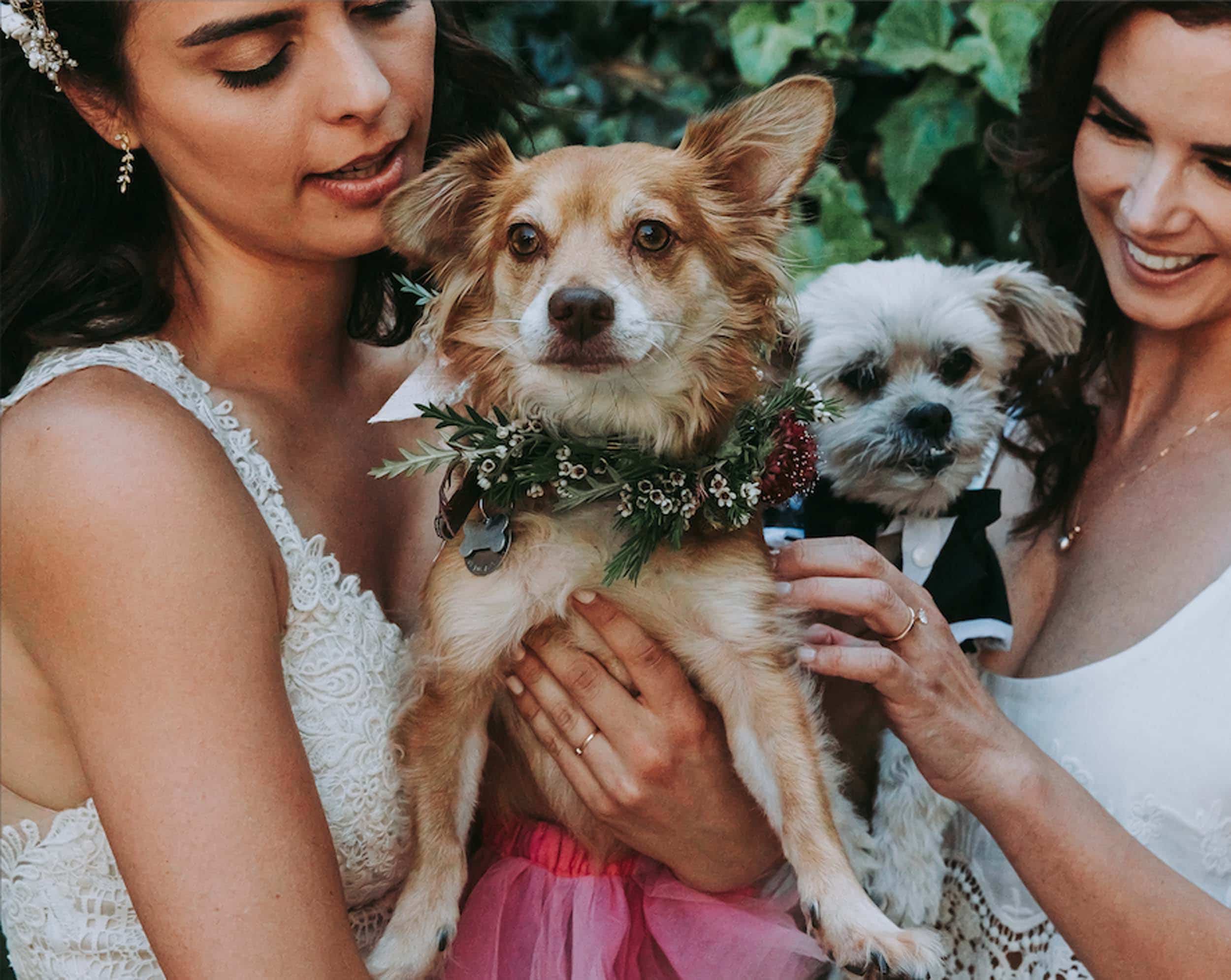 Emily Henderson Design Hellen Wedding Jpg For Blog16