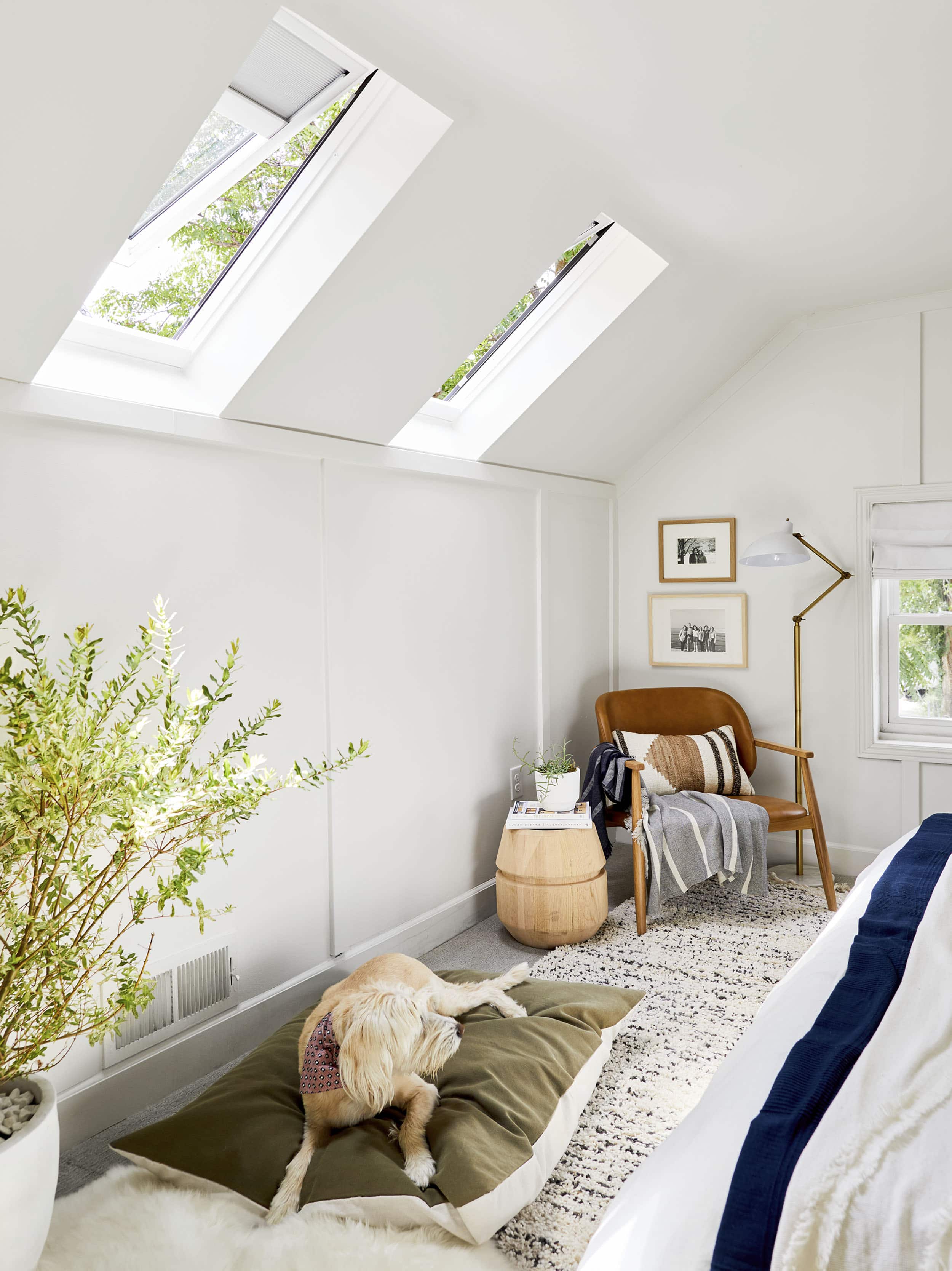 Ehd X Velux Salt Lake City Lores26