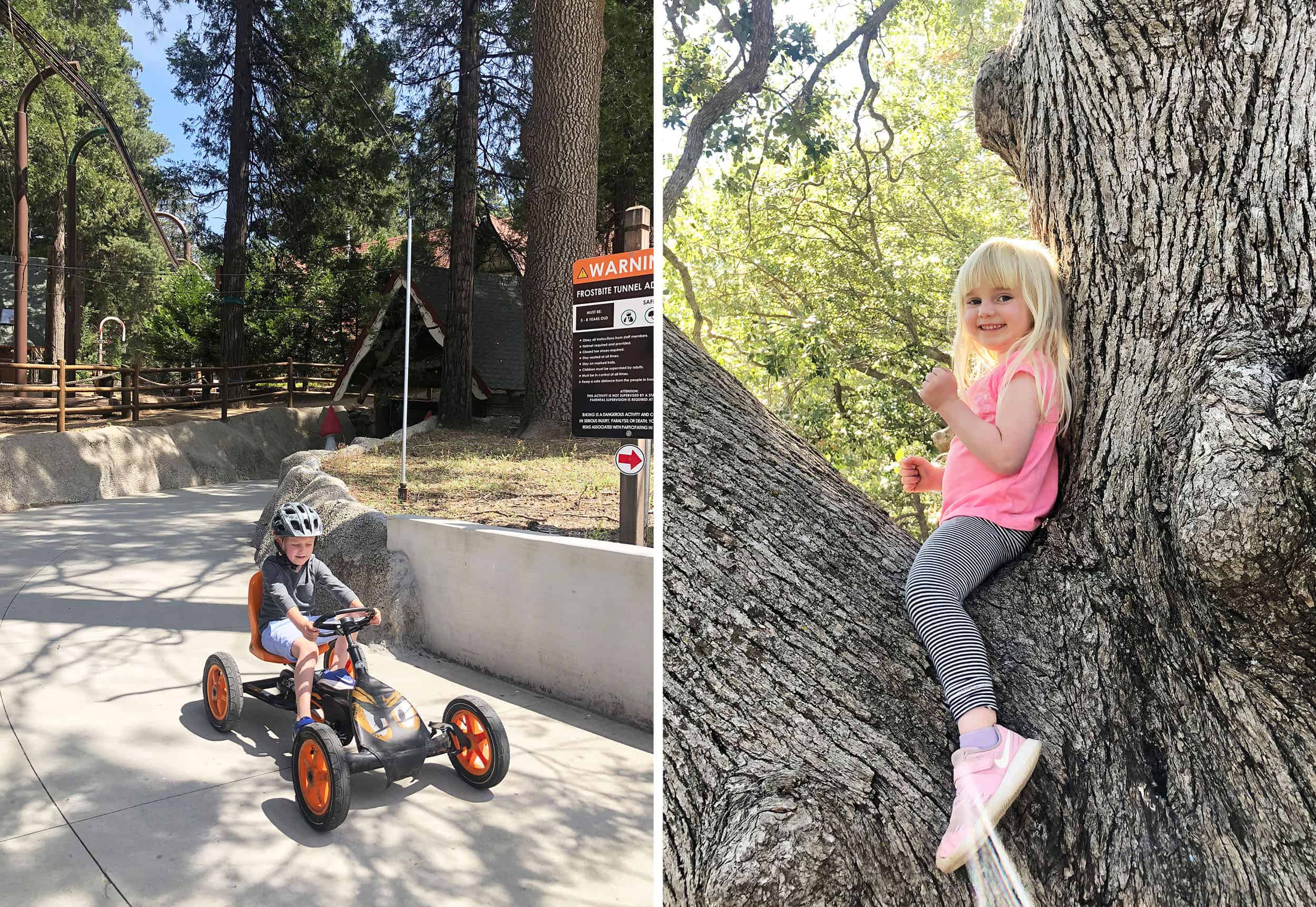 Emily Henderson First Mountain House Summer Side By Side 4