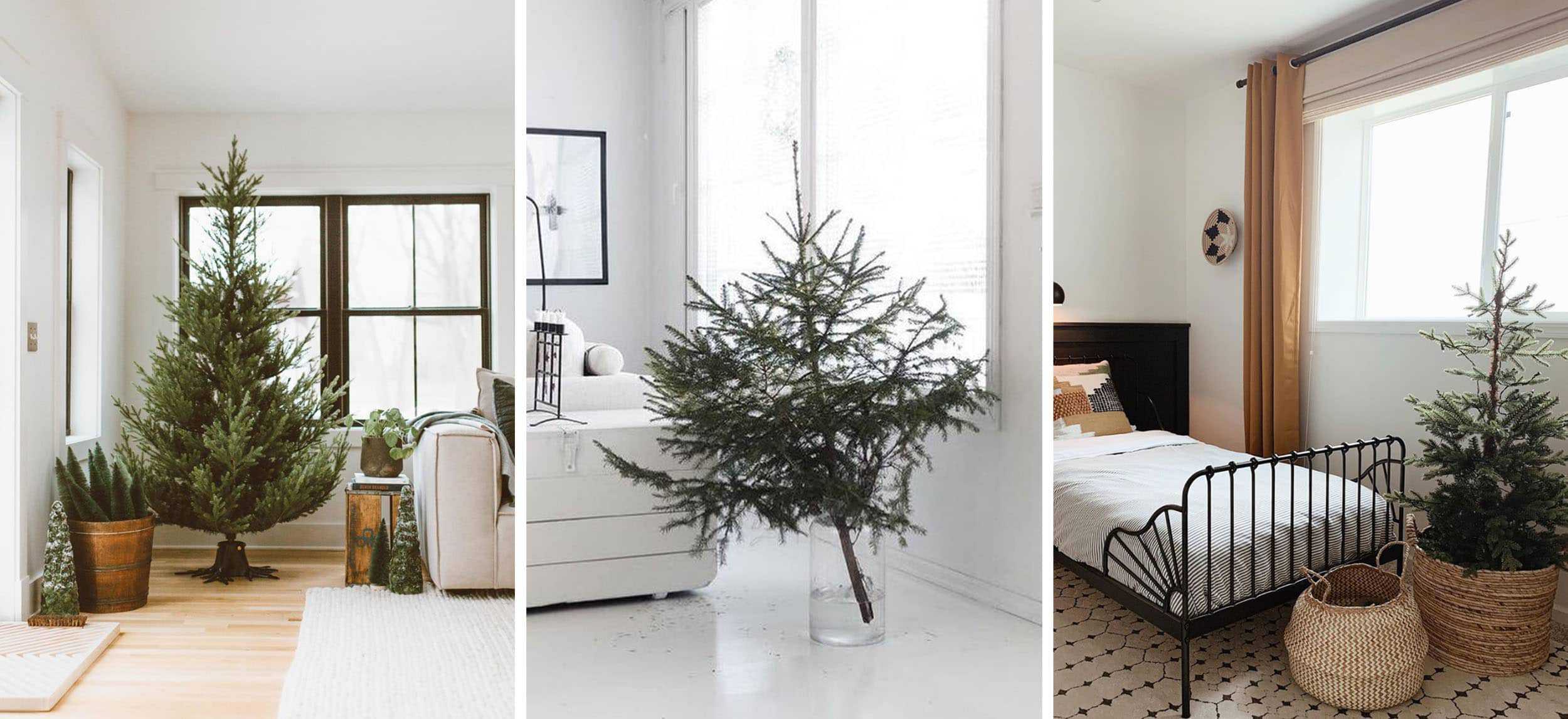 Emily Henderson Holiday 2019 New Decor Ideas Undecorated Tree