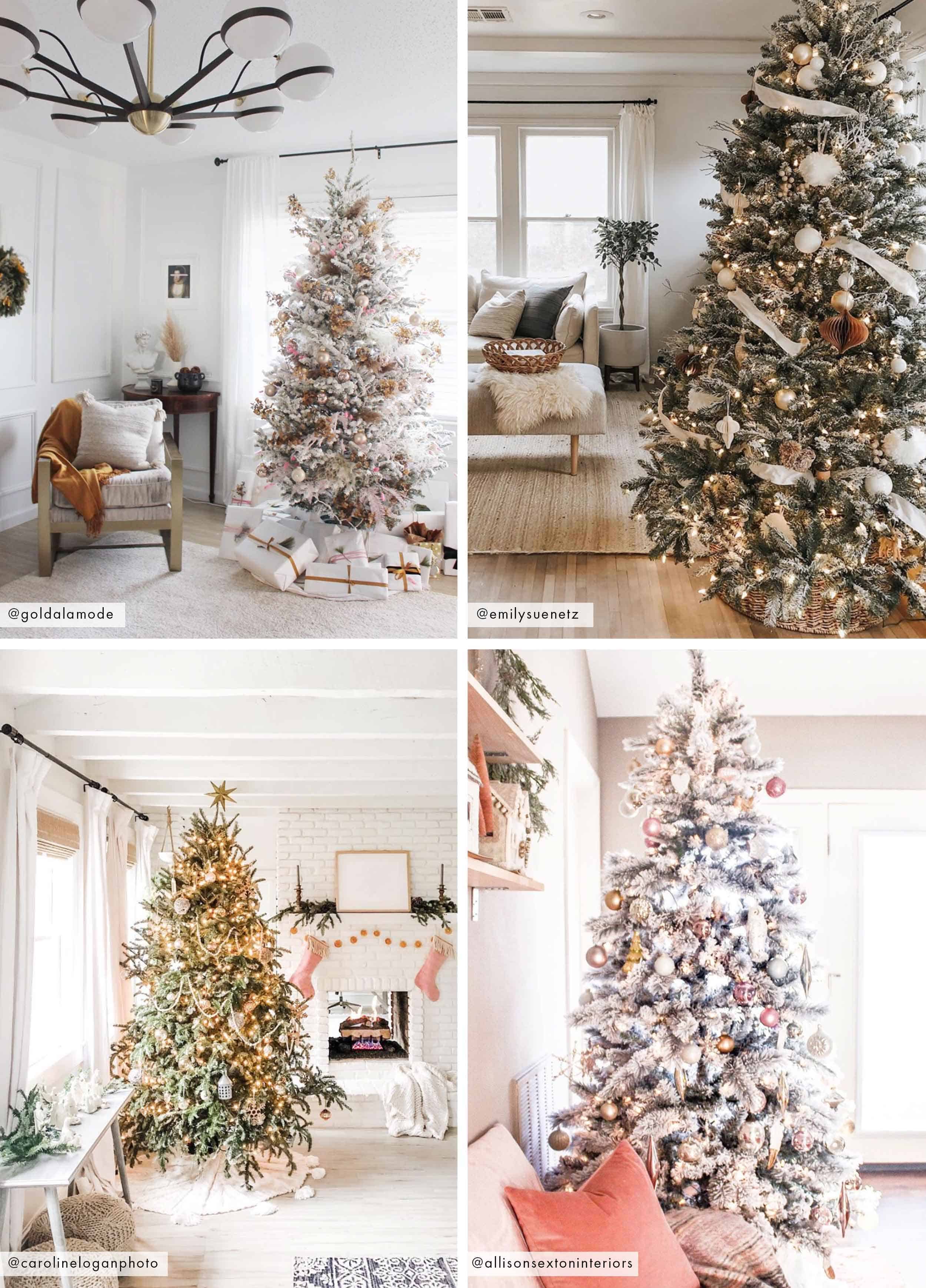 2x2 Trees 1