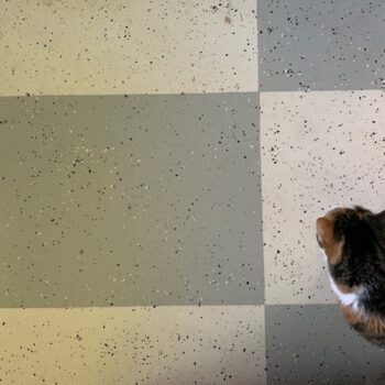 floor.jpg