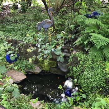 Pond 7-1-18_7280.jpg