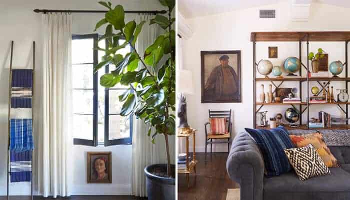 fiddle fig 