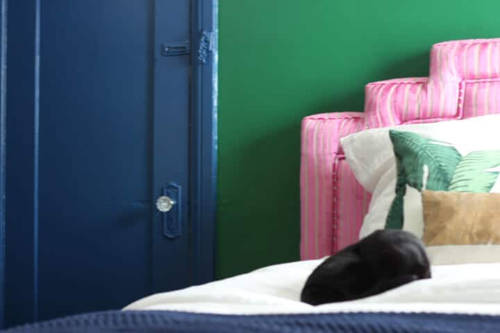 bearcat-guest-room-blue-molding