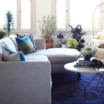 west elm living room