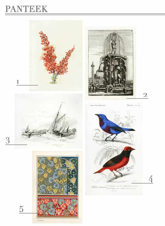Panteek_Online Art