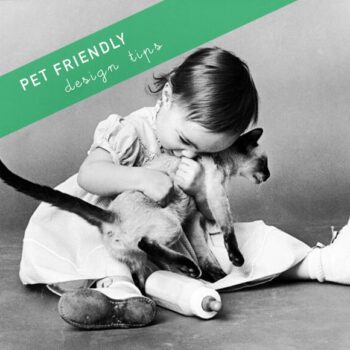 Pet Friendly Design Tips