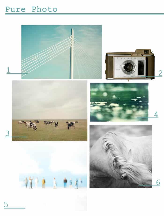 Pure Photo_Online Art