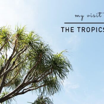 The Tropics My visit to