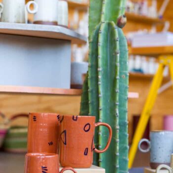 emily_henderson_store_tour_poketo_downtown_los_angeles_cactus (1 of 1)