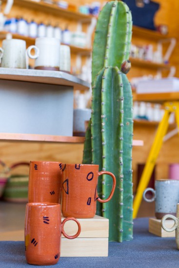 emily_henderson_store_tour_poketo_downtown_los_angeles_cactus (1 of 1)