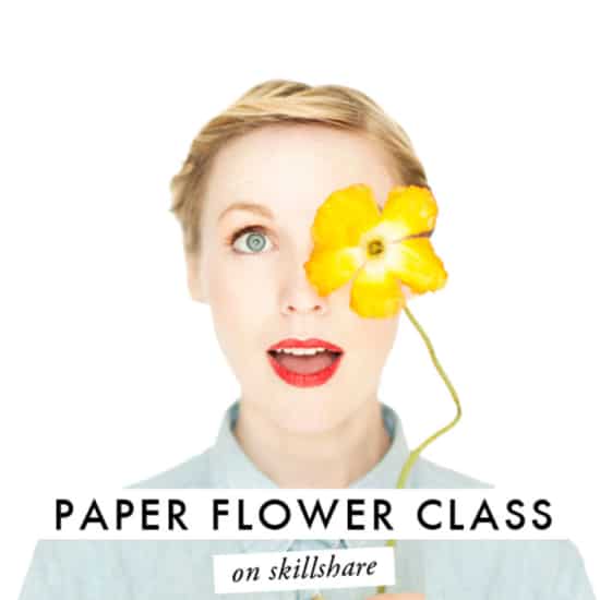 house-that-lars-built-paper