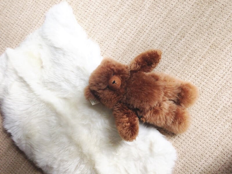 sheeps fur teddy bear