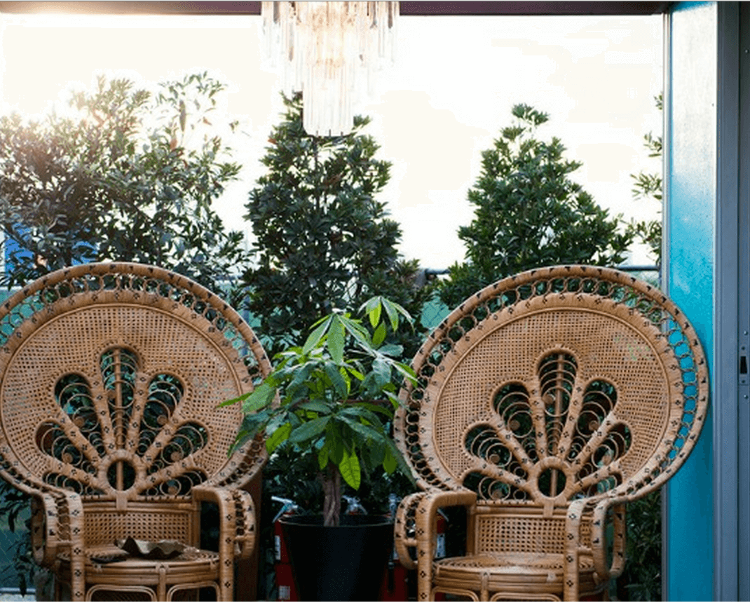 snoop peacock chairs