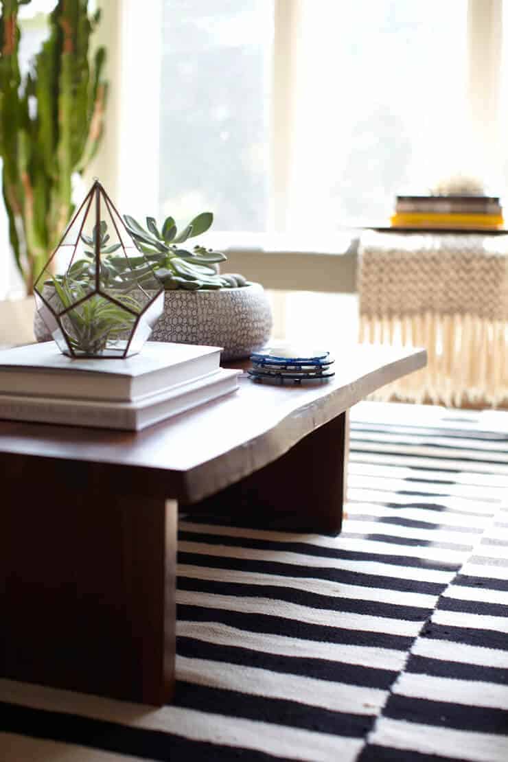 succulent centerpiece on rustic coffee table