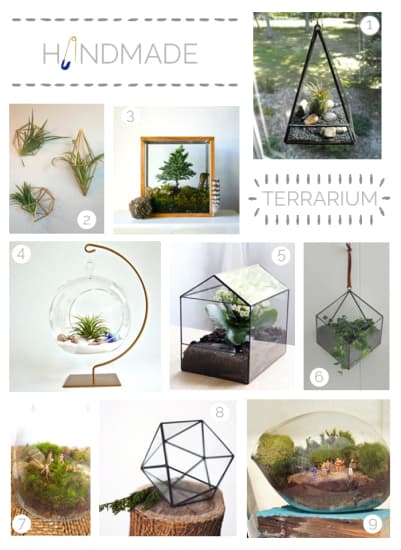 terrarium