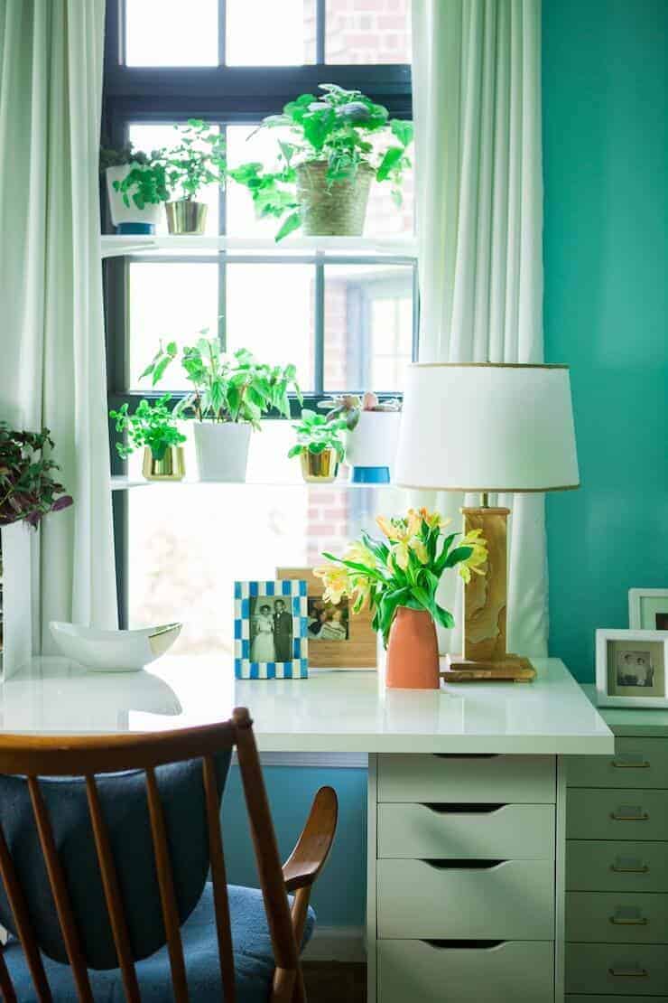 window-plant-shelves-1