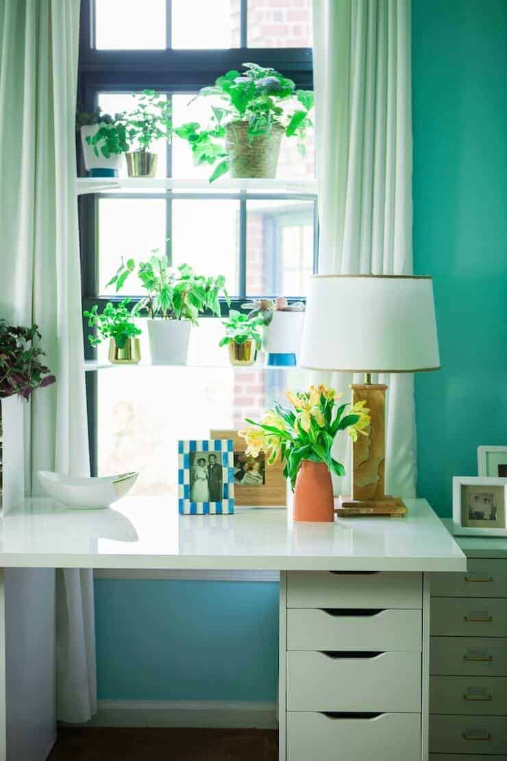 window-plant-shelves-2